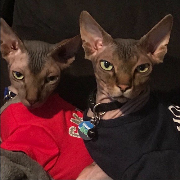 OUR CLOSET RULES - Picture 5 of 9